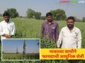 भावाच्या साथीने मेक्सिकोच्या 'चिया'चा मांडव्यात नारायणरावांचा यशस्वी प्रयोग; दीड एकरातून सव्वा लाखांचे उत्पन्न - Marathi News | Narayanrao's successful experiment with Mexican 'Chia' in Mandwa with his brother; Income of Rs. 1.25 lakh from one and a half acres | Latest agriculture News at Lokmat.com