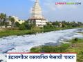 इंद्रायणी नदीतील प्रदूषणात वाढ; हजारो मासे व जलचर मृत्युमुखी पडल्याची धक्कादायक घटना - Marathi News | Increase in pollution in Indrayani river; Shocking incident of thousands of fish and aquatic life dying | Latest agriculture News at Lokmat.com