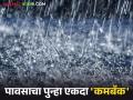 पावसाचा पुन्हा एकदा 'कमबॅक'; मुसळधार पावसाच्या 'बॅटिंग'ने शेतकऱ्यांना मिळाला दिलासा - Marathi News | Rains make a comeback once again; Farmers get relief from heavy rains | Latest agriculture News at Lokmat.com