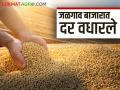Soybean Market Rate : मराठवाडा ते विदर्भ बाजारात सोयाबीनला काय मिळतोय दर; वाचा सविस्तर वृत्त - Marathi News | Soybean Market Rate: What is the price of soybean in the market from Marathwada to Vidarbha; Read the detailed news | Latest agriculture News at Lokmat.com