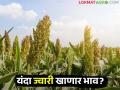 यंदा शेतमालाला बाजारात किमान आधारभूत किंमत ठरणार फायदेशीर - Marathi News | This year, the minimum support price for agricultural products in the market will be profitable. | Latest agriculture News at Lokmat.com