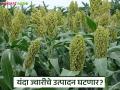 सलगच्या पावसामुळे ज्वारीची पेरणी खोळंबली; रब्बी पेरणीवर यंदा होणार परिणाम? - Marathi News | Sorghum sowing delayed due to continuous rains; Will it affect rabi sowing this year? | Latest agriculture News at Lokmat.com