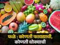 Fruits to Eat & Avoid in Rainy Season : पावसाळ्यात हि फळं खा; 'ही' अजिबात खाऊ नका - Marathi News | Fruits to Eat & Avoid in Rainy Season: Eat these fruits in rainy season; Do not eat 'this' at all | Latest agriculture News at Lokmat.com