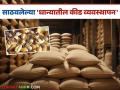 दीर्घकाळ धान्य सुरक्षितेसाठी 'असे' करा साठवलेल्या धान्यातील कीड नियंत्रण - Marathi News | Do this to ensure long-term grain safety: Pest control in stored grain | Latest agriculture News at Lokmat.com
