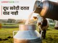 Dudh Dar : राज्यातील इतर संघांकडून रुपयाची वाढ मात्र 'गोकुळ', 'वारणा'च्या दूध खरेदी दरात वाढ नाही - Marathi News | Dudh Dar: Rupee increase from other unions in the state but no increase in milk purchase price of 'Gokul', 'Warana' | Latest agriculture News at Lokmat.com