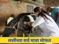 Livestock Vaccination शेतकऱ्यांनो, जनावरांना लसीच्या सर्व मात्रा मोफत; लसीकरण करून घेण्याचे आवाहन - Marathi News | Livestock Vaccination Farmers, livestock vaccinations free of charge; Call for vaccinations | Latest agriculture News at Lokmat.com