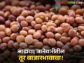 तुरीचे भाव जानेवारीत वधारणार? की होणार कमी; जाणून घ्या जानेवारीतील तूर बाजाराचा आढावा - Marathi News | Will the price of tur increase in January? Or will it decrease; Know the review of the tur market in January | Latest agriculture News at Lokmat.com