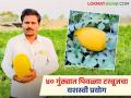 ढेगे पिंपळगावच्या शेतात पिवळ्या टरबूजचा यशस्वी प्रयोग; ओमरावांनी घेतले ४० गुंठयात दोन लाख चाळीस हजारांचे उत्पन्न - Marathi News | Successful experiment with yellow watermelon in Dhege Pimpalgaon's field; Omrao earned Rs. 2 lakh 40 thousand from 40 gunthas | Latest agriculture News at Lokmat.com