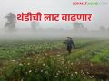 Winter Update : राज्यात सर्वत्र धुक्याची चादर कायम; थंडीची लाट वाढणार - Marathi News | Winter Update: Fog blankets the entire state; Cold wave will increase | Latest agriculture News at Lokmat.com