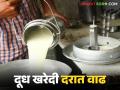 गोकुळने दूध खरेदी दर वाढविला; संस्थांकडून नविद यांचा सत्कार - Marathi News | Gokul increases milk purchase price; Navid felicitated by institutions | Latest agriculture News at Lokmat.com