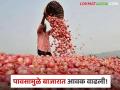 Kanda Bajar Bhav : चिंचवड, लाल, उन्हाळ कोण खातंय भाव? वाचा आजचे कांदा बाजारभाव - Marathi News | Kanda Bazaar Bhav: Chinchwad, Lal, Summer, who is eating the price? Read today's onion market price | Latest agriculture News at Lokmat.com