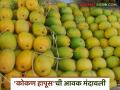 कोकण हापूस' नरमला; आता 'कर्नाटक'वरच मदार; उत्पादन कमी असल्याने आवक मंदावली - Marathi News | The Kokan Hapus has softened; now the focus is on Karnataka Mango Due to reduced production kokan hapus arrival has slowed down | Latest agriculture News at Lokmat.com