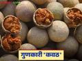 महाशिवरात्रीला घरोघरी का खातात कवठ; कवठाचे आरोग्यदायी फायदे - Marathi News | | Latest agriculture News at Lokmat.com