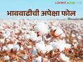 Cotton Market Update : यंदा भाववाढीची अपेक्षा ठरतेय फोल; साठवलेल्या कापसाची शेतकऱ्यांकडून विक्री - Marathi News | Cotton Market Update: Expectations of price hike this year are proving false; Farmers sell stored cotton | Latest agriculture News at Lokmat.com