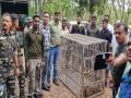 चूलबंद विश्रामगृह परिसरातून बिबट्याला केले रेस्क्यू - Marathi News | Leopard rescued from Chulband rest house area | Latest gondia News at Lokmat.com