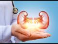 Kidney Health: किडनीसाठी फायदेशीर आहेत हे 3 लेमन ड्रिंक्स, किडनी होईल पूर्णपणे क्लीन - Marathi News | Best lemon drink for kidney benefits, know how to made it and how to drink | Latest health News at Lokmat.com