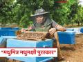 Hone Beekeeping : मधपाळ महिलांसाठी सुवर्णसंधी! खादी व ग्रामोद्योग मंडळाकडून दिला जाणार पुरस्कार - Marathi News | | Latest agriculture News at Lokmat.com