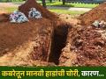 या देशात कबरींमधून मानवी हाडे चोरी करत आहेत लोक, कारण वाचून बसेल धक्का.... - Marathi News | People are stealing human bones from graves in this country, reason will shock you | Latest jarahatke News at Lokmat.com