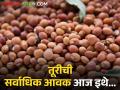 आज इथे सकाळच्या सत्रात सर्वाधिक तूरीची आवक, क्विंटलमागे मिळतोय... - Marathi News | Amravati has seen the highest arrival of tur, per quintal, in the morning session | Latest agriculture News at Lokmat.com