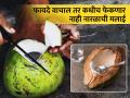 कोलेस्ट्रॉल आणि वजन कमी करण्यासोबत भरपूर आहेत नारळाच्या मलाईचे फायदे - Marathi News | Along with cholesterol and weight loss, amazing health benefits of coconut malai | Latest health Photos at Lokmat.com