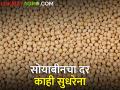 Todays Soybean Rates : सोयाबीनला मिळेना हमीभावाएवढाही दर, शेतकरी हवालदिल - Marathi News | Todays Soybean Rates Farmers complain about not getting guaranteed price for soybeans | Latest agriculture News at Lokmat.com