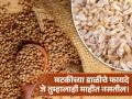 डॉक्टरांकडे जाण्याची येणार नाही वेळ जर या डाळीचा आहारात कराल समावेश, जाणून घ्या फायदे! - Marathi News | Amazing health benefits of Matki dal you should know | Latest health News at Lokmat.com