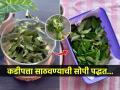 कडीपत्ता लगेच वाळून जातो? साठवण्याची १ सोपी ट्रिक, ६ महिने कडीपत्ता राहील ताजा-फ्रेश - Marathi News | know How to Store Curry Leaves fresh for long : Does the leaf dry out immediately? 1 easy storage trick, 6 months of kadipatta will stay fresh | Latest sakhi News at Lokmat.com