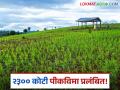 Crop Insurance : राज्याच्या दिरंगाईमुळे शेतकऱ्यांना विमा भरपाई नाही! खरिपाचे २२१९ कोटी अजूनही प्रलंबितच - Marathi News | Farmers are not getting insurance compensation due to state government's delay! 2219 crores of Kharif is still pending | Latest agriculture News at Lokmat.com