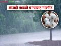 Rain alert: राज्यात उत्तर पूर्व जिल्ह्यांमध्ये पावसासह गारपीटीचा यलो अलर्ट, जाणून घ्या सविस्तर - Marathi News | | Latest agriculture News at Lokmat.com