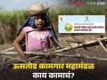 Sugarcane : २०१९ साली स्थापन झालेलं उसतोड कामगार महामंडळ नेमकं काय करतंय? नोंदण्याही रखडल्या - Marathi News | | Latest agriculture News at Lokmat.com