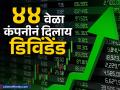 ४४ वेळा कंपनीनं दिलाय डिविंडेंड, आता पुन्हा एकदा नफा वाटण्याची तयारी; तुमच्याकडे आहे का ‘हा’ स्वस्त स्टॉक? - Marathi News | nmdc psu company given dividends 44 times now ready to share profits once again Do you have cheap stock | Latest business News at Lokmat.com