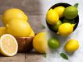 How to Store Lemons the Right Way : महागडे लिंबू आणले, आता ते लवकर खराब होण्याची चिंता? 1 सोपी ट्रिक, महिनाभर राहतील फ्रेश - Marathi News | How to Store Lemons the Right Way: Bringing Expensive Lemons, Now Worrying About It Going Bad Soon? 1 simple trick, stay fresh for a month | Latest sakhi News at Lokmat.com