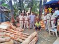 खैराची चोरटी लाकडे पकडली  - Marathi News | Khaira caught the stolen wood | Latest crime News at Lokmat.com