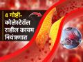 हृदयविकाराचा धोका टाळायचा तर करा फक्त ४ गोष्टी, कोलेस्टेरॉल कायम राहील नियंत्रणात - Marathi News | 4 things to keep in mind to manage cholesterol levels : 4 things you must do to avoid the risk of heart disease, cholesterol will remain under control | Latest sakhi News at Lokmat.com