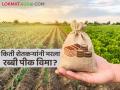 Rabi Crop Insurance : शेतकऱ्यांनो, रब्बी पिक विम्यासाठी अर्ज करा! आत्तापर्यंत किती आले अर्ज? - Marathi News | Rabi Crop Insurance : Farmers, Apply for Rabi Crop Insurance! How many applications have come so far? | Latest agriculture News at Lokmat.com