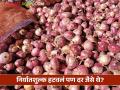 Onion Rates : गुलटेकडी मार्केट यार्डात कांद्याला 'एवढाच' दर! निर्यातशुल्क हटवल्याचा परिणाम किती? - Marathi News | Onion rates at pune Gultekdi Market Yard What is the impact of removing export duty? | Latest agriculture News at Lokmat.com