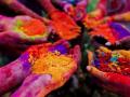 यंदाची होळी ‘चायनीज’ मुक्त; ‘कोरोना’ची दहशत - Marathi News | This year's Holi is 'Chinese' free; The horror of 'Corona' | Latest nagpur News at Lokmat.com