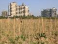 वाह रे वा... खर्च संस्थांचा अन् प्रसिद्धी पालिकेतील लोकप्रतिनिधी व अधिकाऱ्यांची - Marathi News | Wow, wow ... the publicity of spending bodies and public representatives and officials | Latest mumbai News at Lokmat.com