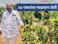 50 एकरांवर फळबाग शेती, थेट परदेशात निर्यात, दरही चांगला, शिंगाडे कुटुंबाची प्रेरणादायी यशोगाथा - Marathi News | Latest News Fruit orchard farming on 50 acres, direct export abroad, good prices, inspiring success story of the Shingade family | Latest agriculture News at Lokmat.com