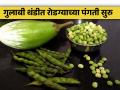 जेवणासाठी भाजीचे टेन्शन मिटले! गुलाबी थंडीत सोले वांगीच्या भाजीची धूम - Marathi News | Housewives' dinners of vegetable tension are resolved, the steam of eggplant vegetables is roasted in the pink cold | Latest agriculture News at Lokmat.com