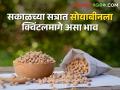 धाराशिवसह परभणी, वाशिममध्येही सोयाबीनला हमीभाव, उर्वरित कोणत्या बाजारसमितीत मिळतोय भाव? - Marathi News | | Latest agriculture News at Lokmat.com