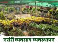 Nursery Management : नर्सरी व्यवसाय करताय? 'या' गोष्टी महत्त्वाच्या! असे करा व्यवस्थापन - Marathi News | Nursery Management : Running a nursery business? 'These' things are important! Do so management | Latest agriculture News at Lokmat.com