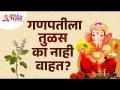 गणपतीला तुळस का वाहत नाही? Why doesn't basil flow to Ganpati? Ganpati Bappa Morya | Ganeshotsav 2022 - Marathi News | Why doesn't basil flow to Ganpati? Why doesn't basil flow to Ganpati? Ganpati Bappa Morya | Ganeshotsav 2022 | Latest bhakti Videos at Lokmat.com