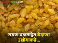 द्राक्ष हंगामास झाली सुरुवात, अनेक तरुणांचा ओढा बेदाणे उद्योगाकडे, पण... - Marathi News | Grape season has started, many youths are attracted to currant industry, but... | Latest agriculture News at Lokmat.com