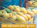 Mango Festival : पुण्यात सुरू होतोय आंबा महोत्सव! थेट शेतकऱ्यांकडून हापूस खरेदीची संधी - Marathi News | Mango Festival: Mango Festival is starting in Pune! Opportunity to buy mangoes directly from farmers | Latest agriculture News at Lokmat.com