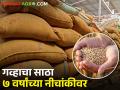 गहू लवकरच महाग होण्याची शक्यता, यंदा साठा ७ वर्षांचा नीचांकी - Marathi News | Wheat likely to become expensive soon, stocks this year at 7-year low | Latest agriculture News at Lokmat.com