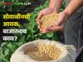 Soybean Market Today: एकाच बाजारसमितीत साेयाबीनला आधारभूत भाव, लातूर, धाराशिवसह उर्वरित ठिकणी काय स्थिती? - Marathi News | | Latest agriculture News at Lokmat.com