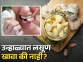 उन्हाळ्यात लसूण खावा की नाही? एक्सपर्टकडून जाणून घ्या याचे नुकसान आणि फायदे! - Marathi News | Is it good to eating garlic in summer | Latest health News at Lokmat.com