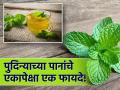 पुदिन्याच्या पानांचे आरोग्याला मिळतात वेगवेगळे फायदे, वाचाल तर नियमित कराल सेवन... - Marathi News | Mint leaves have various health benefits told by Ayurveda Doctor | Latest health News at Lokmat.com