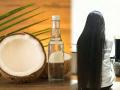 केसांना खोबरेल तेल लावण्याचे ४ फायदे; पारंपरिक तेल मालिश उत्तम- केसांवर प्रयोग नकोच.. - Marathi News | Hair Care Benefits of Coconut Oil for hair Growth : 4 benefits of applying coconut oil to hair; Traditional oil massage is best- no need to experiment on hair.. | Latest sakhi News at Lokmat.com